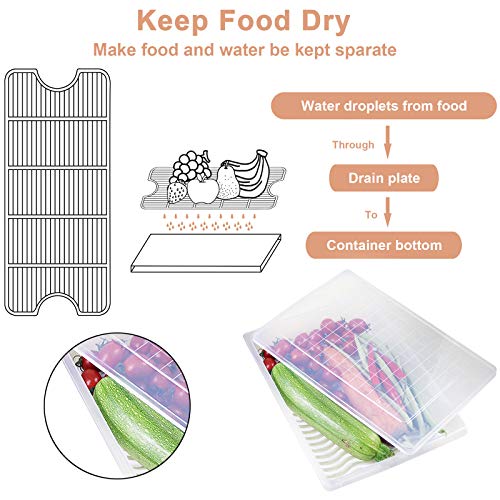 Plastic Food Storage Containers with Removable Drain Plate and Lid, Stackable (4, Large) T3827