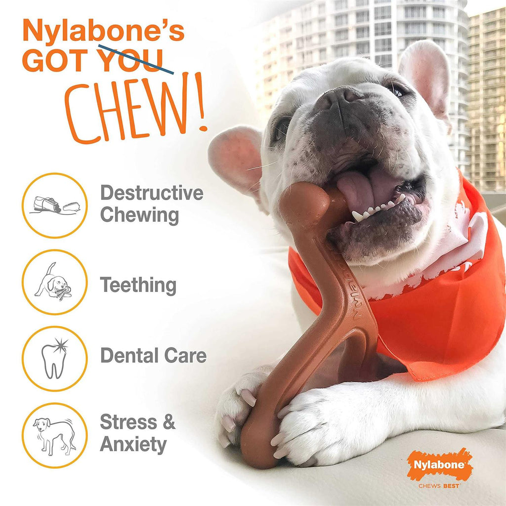 Dog Chew Toy Bundle O69187