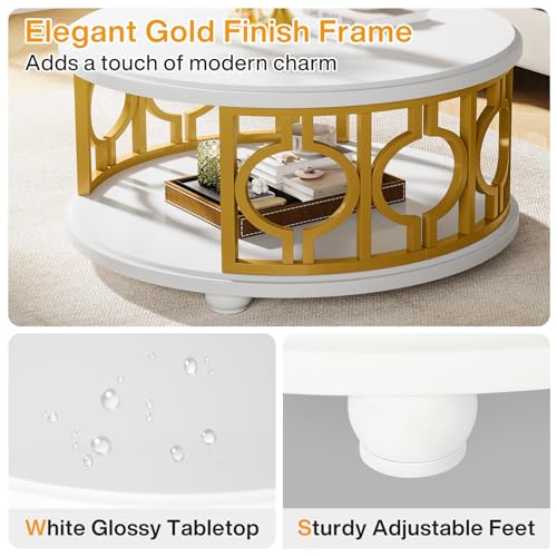 2-Tier Round Coffee Table with Storage Shelf F5247