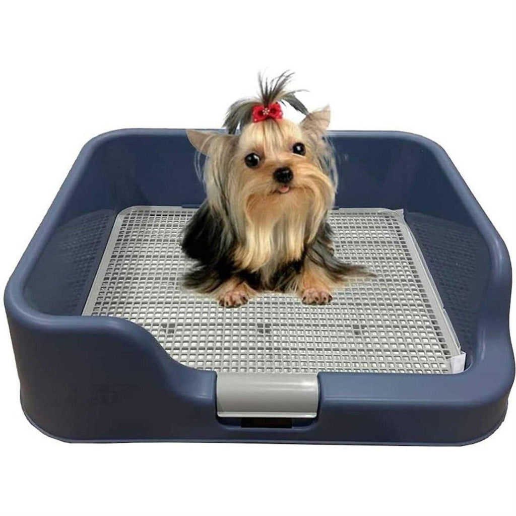 Indoor Dog Potty Tray with Protection Wall E9118