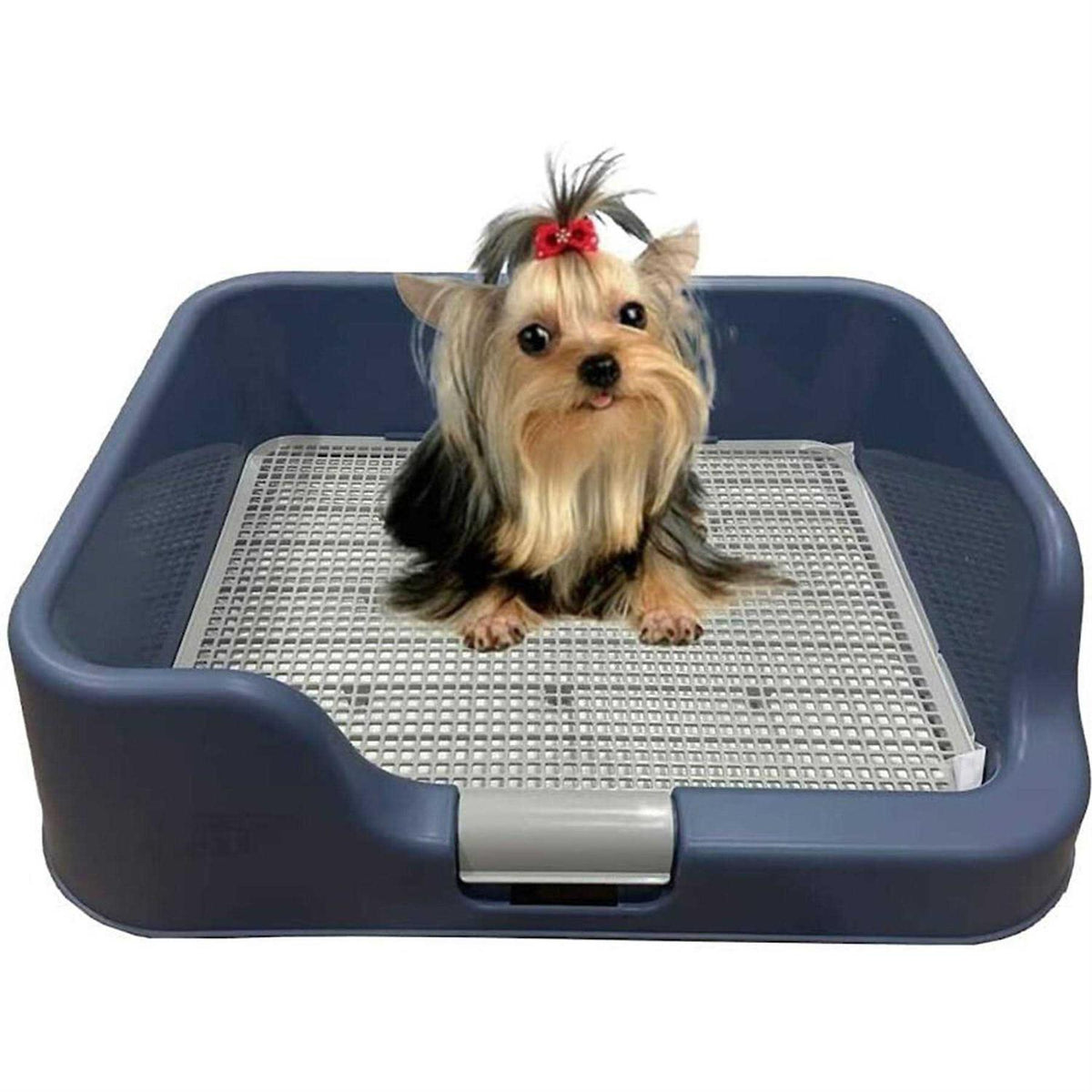 Indoor Dog Potty Tray with Protection Wall E9118