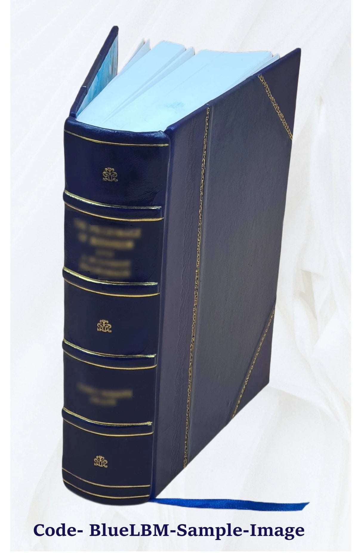 Leather Bound Book E352