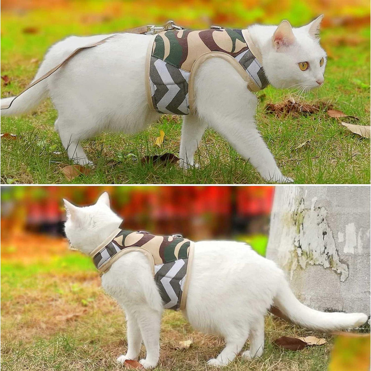 Cat Harness and Leash H95653