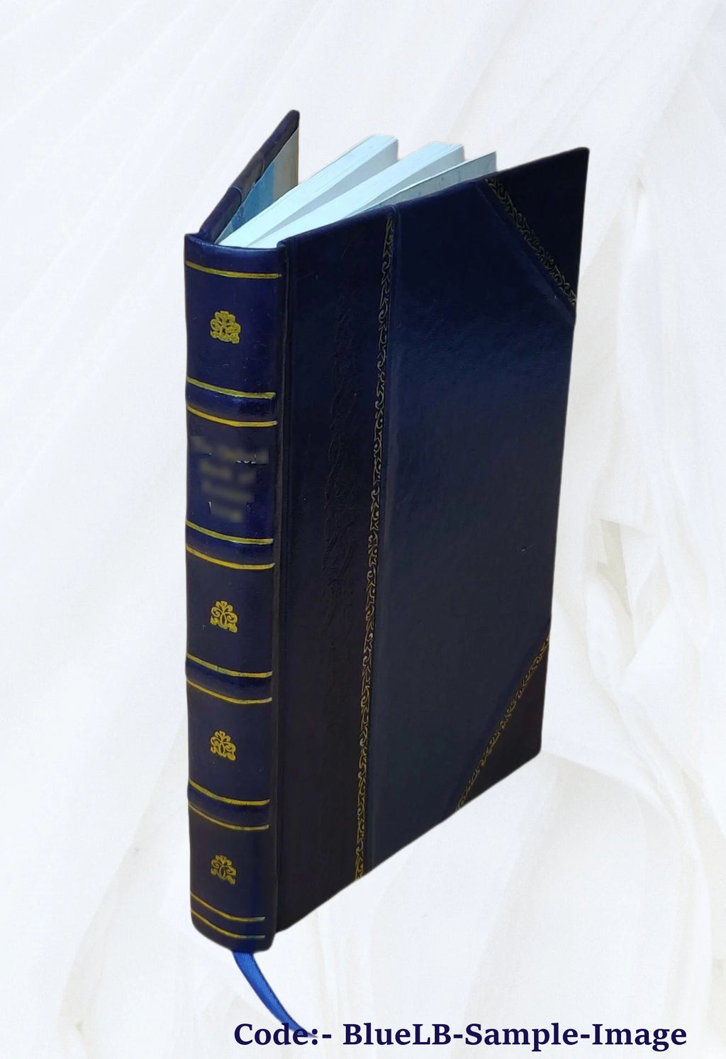 Leather Bound Book B985393