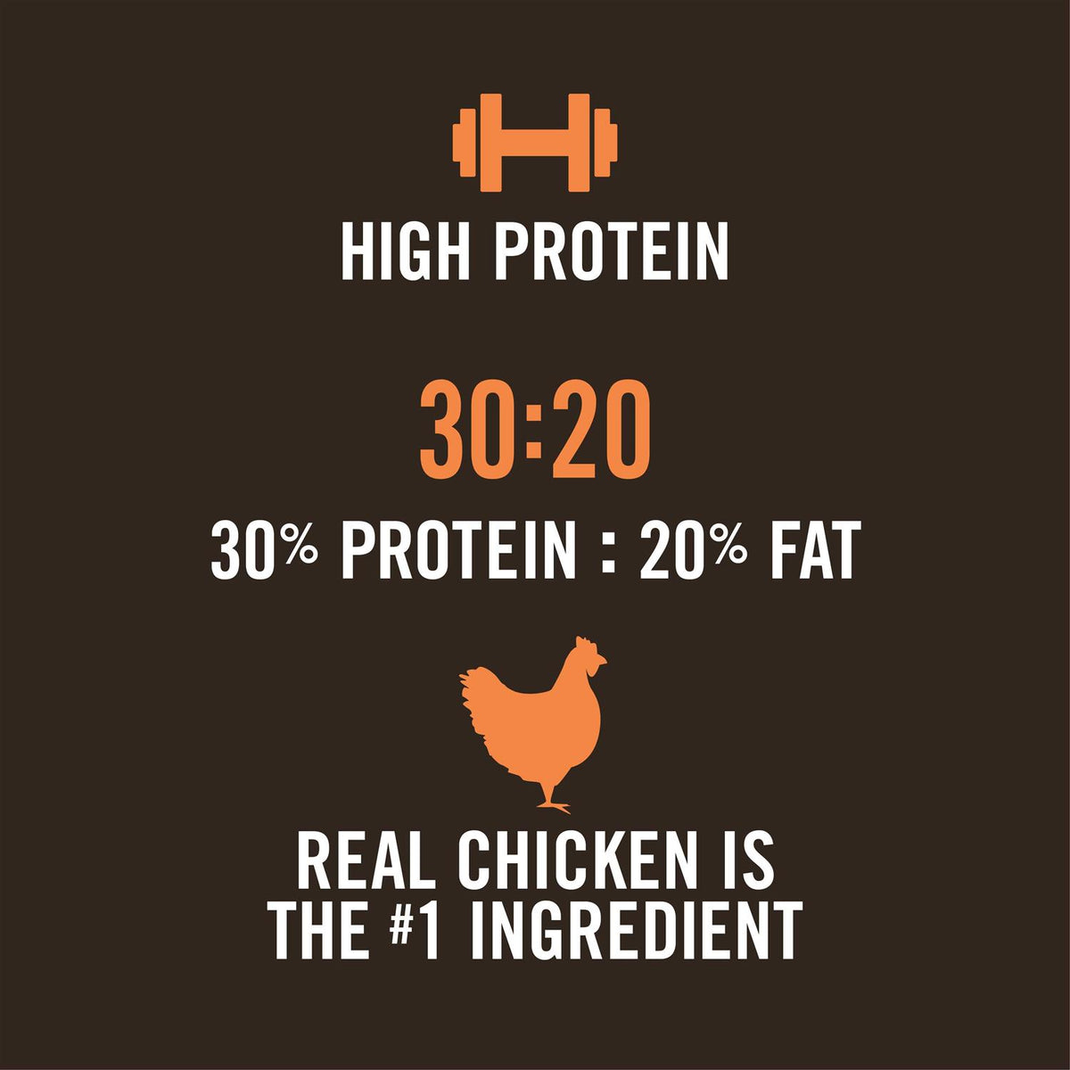 Chicken & Rice Recipe Dry Dog Food N806411