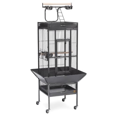 Black Wrought Iron Bird Cage T382987
