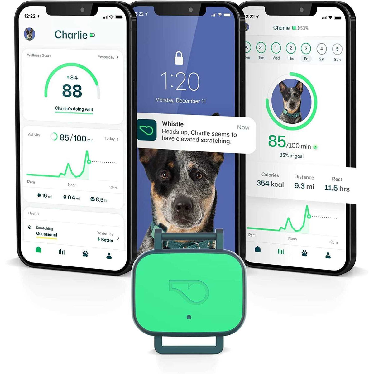 Dog Health & Fitness Tracker Smart Device S8873
