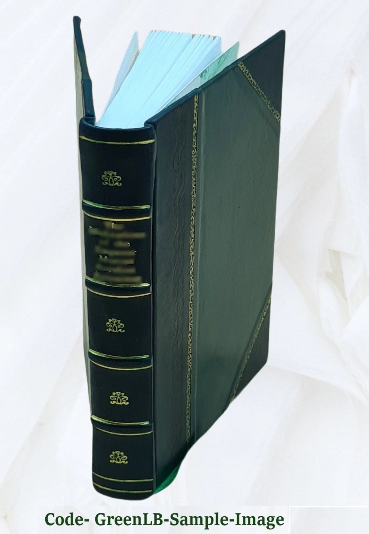 Leather Bound Book K826