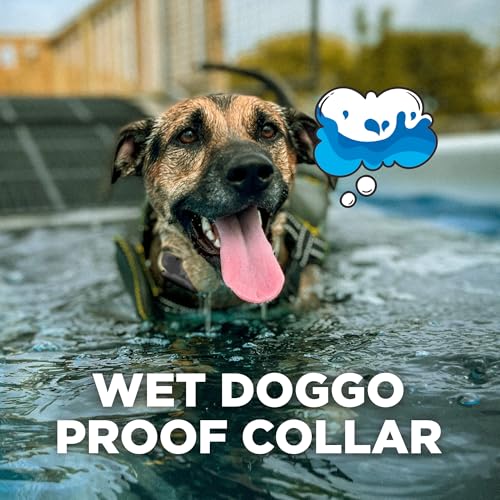 Tan Waterproof Rechargeable Dog Training Collar with Remote X540