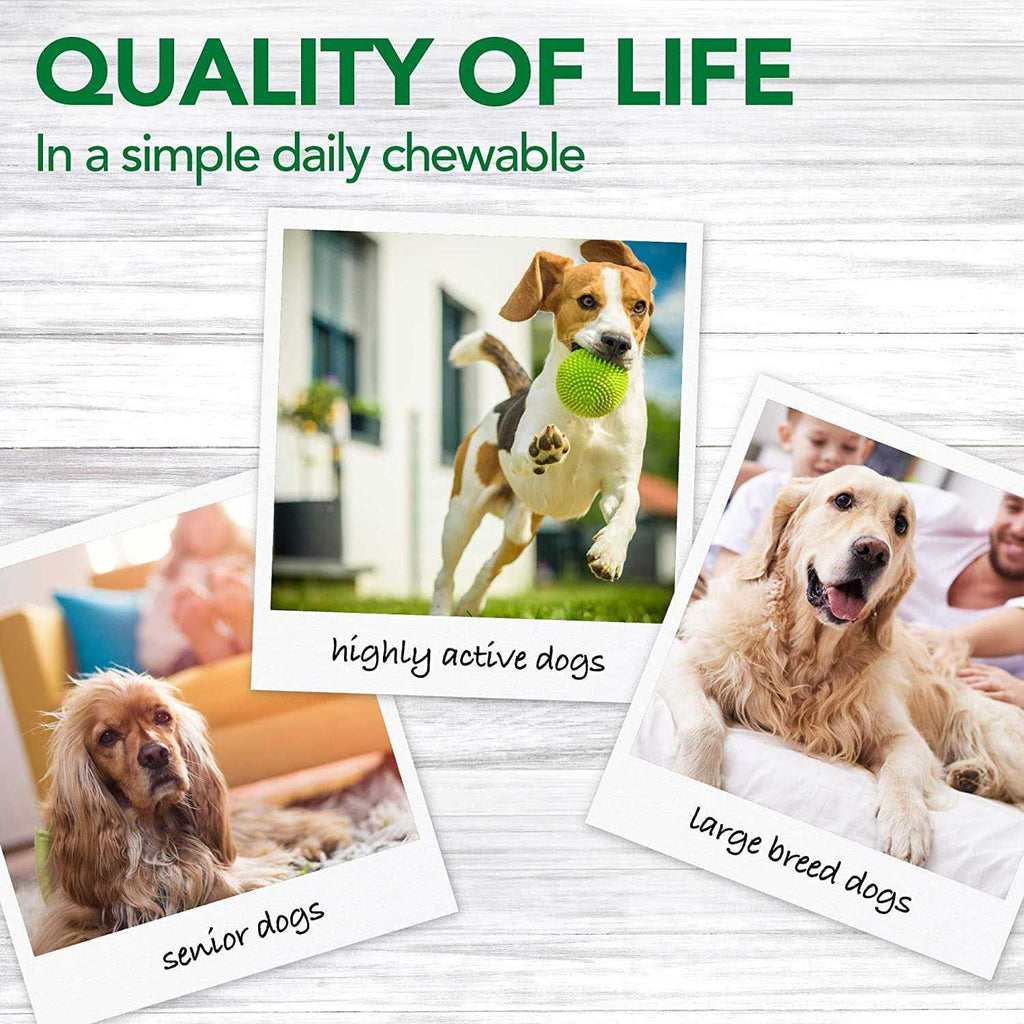 Dog Supplement G272641
