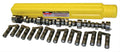 Hydraulic Roller Camshaft and Lifter Kits P818