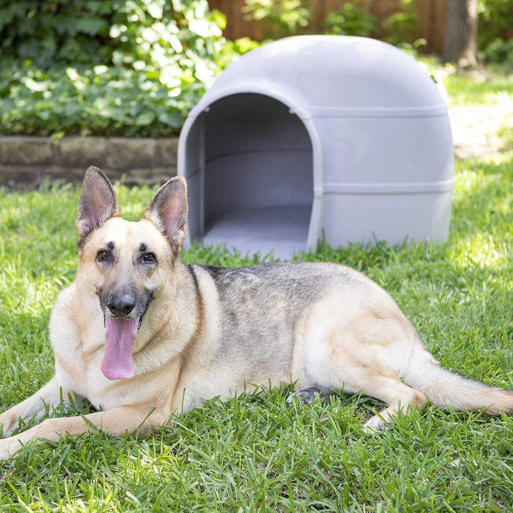 Husky Dog House B424151