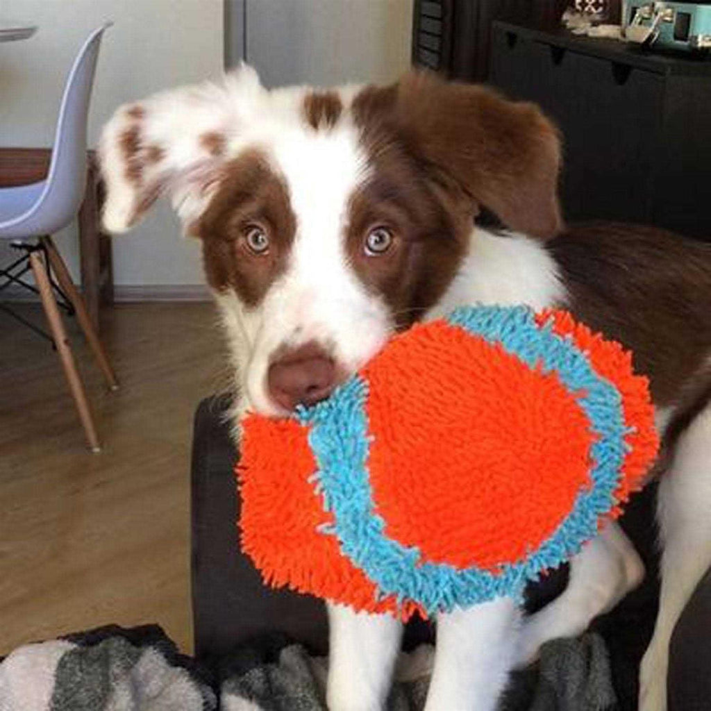 Indoor Dog Toy O601320
