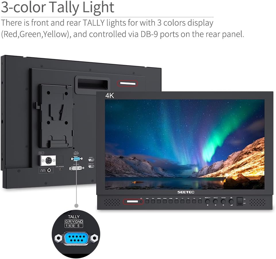 17.3 Inch 1920x1080 Desktop Monitor with 3G-SDI HDMI AV YPbPr R319932