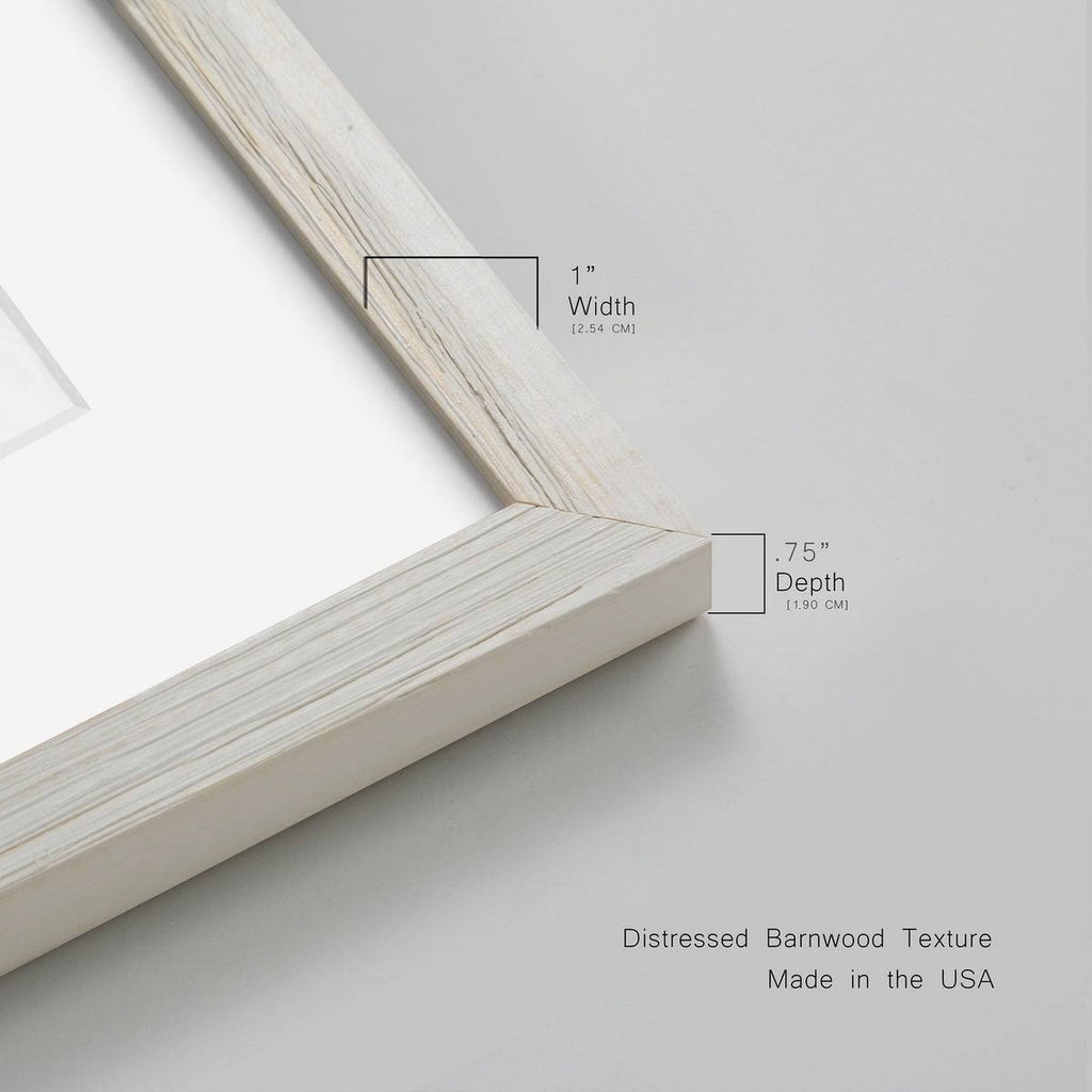 Framed Print - 23X32 - Walnut W73576