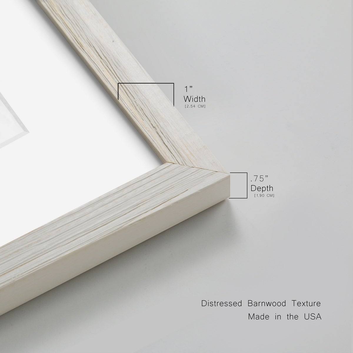 Framed Print - 23X32 - Walnut W73576