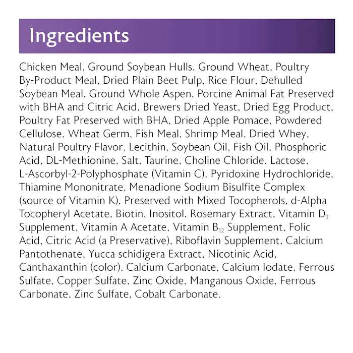 Bearded Dragon Diet J4249