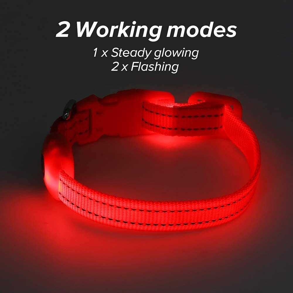 Light Rechargeable LED Dog Collar N8225