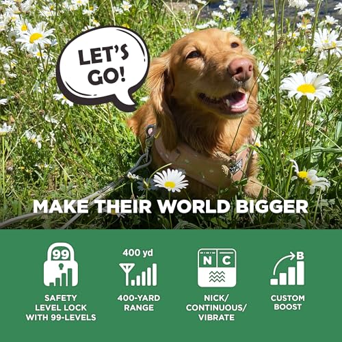 Tan Waterproof Rechargeable Dog Training Collar with Remote X540