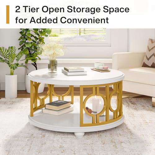 2-Tier Round Coffee Table with Storage Shelf F5247