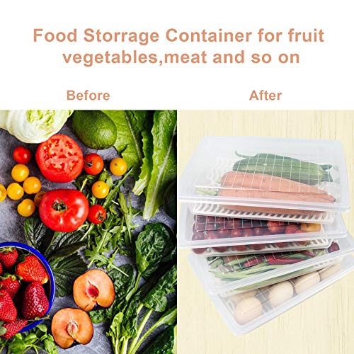Plastic Food Storage Containers with Removable Drain Plate and Lid, Stackable (4, Large) T3827