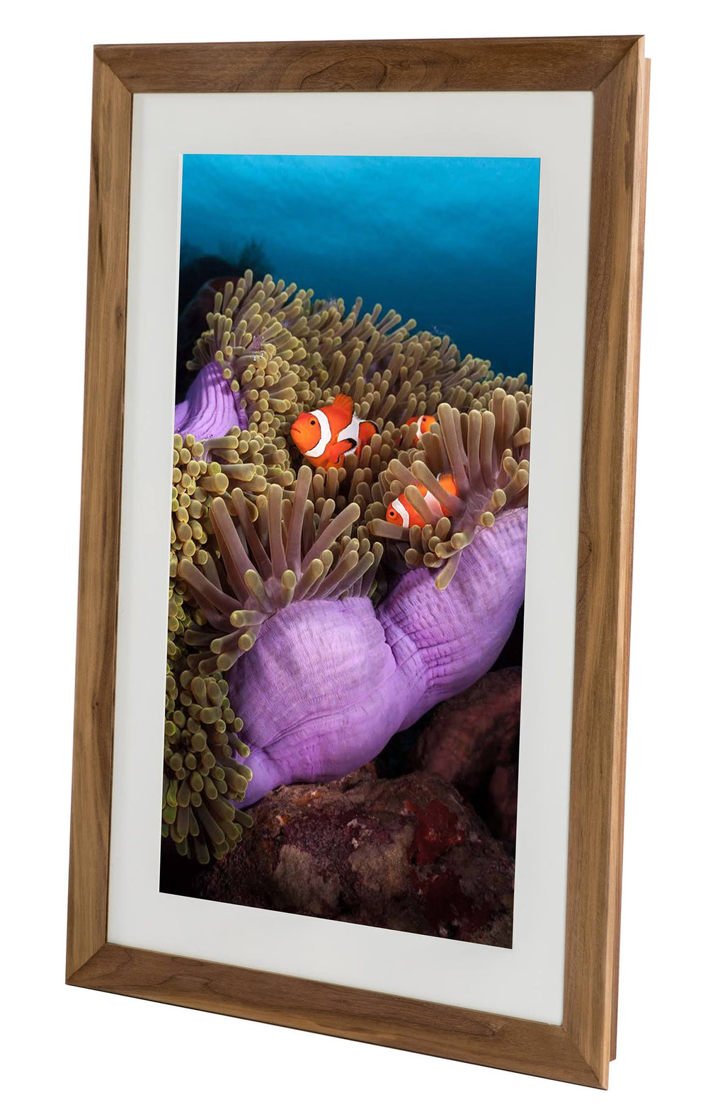 27 in Digital Photo Frame V540
