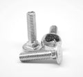 Coarse Thread Carriage Bolt Stainless Steel 18-8 Pk 40 Y392180