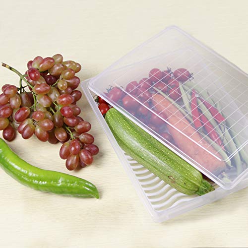 Plastic Food Storage Containers with Removable Drain Plate and Lid, Stackable (4, Large) T3827