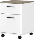 2 Drawer Mobile File Cabinet R42357