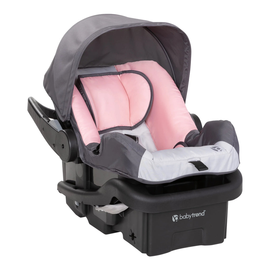 Pink Flamingo Travel System Stroller C554771