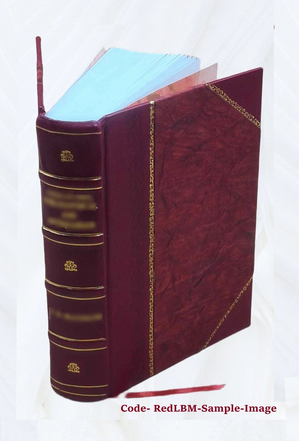 Leather Bound Book E352