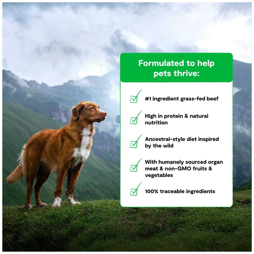 Grain Free Dog Food J129336