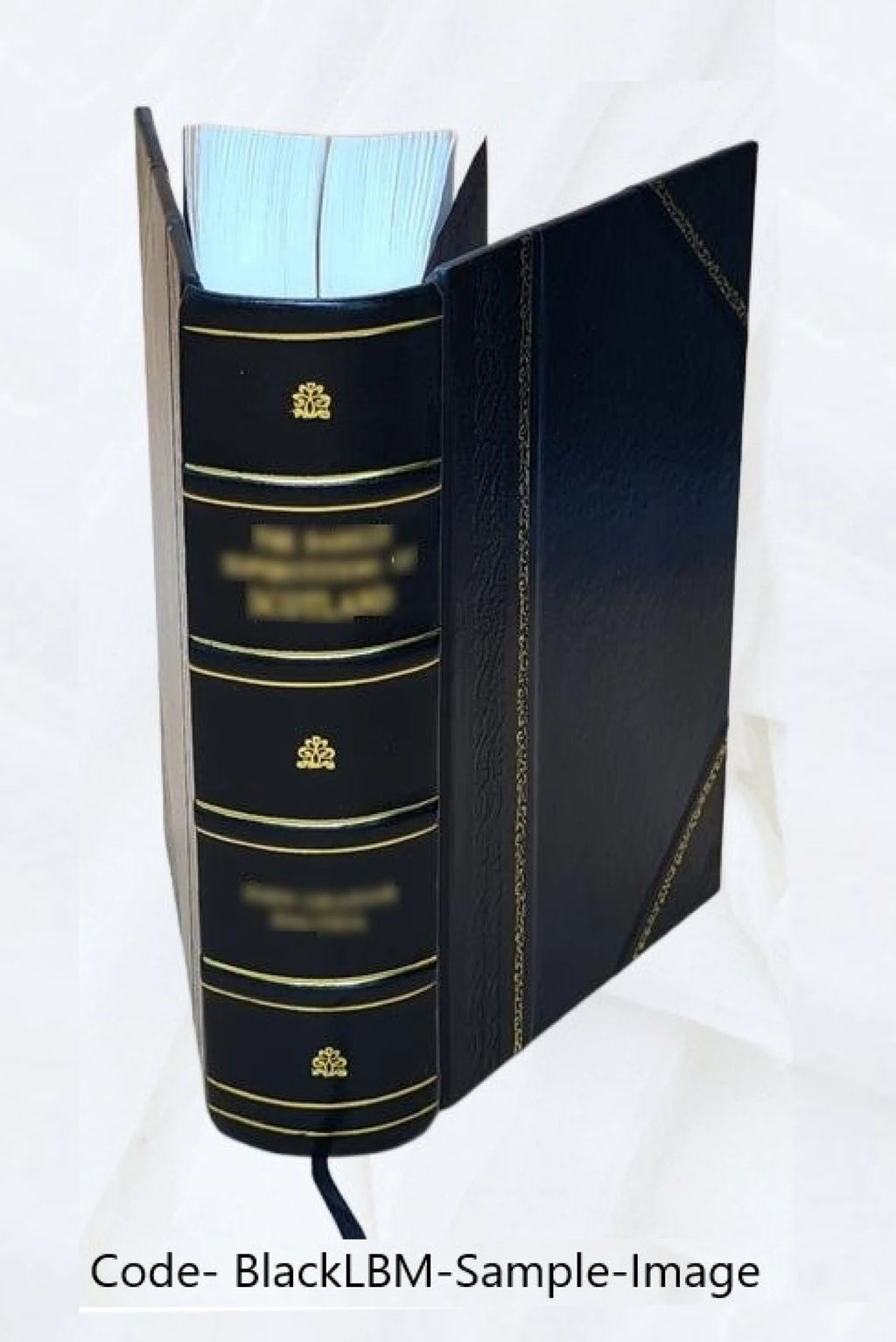 Leather Bound Book E352