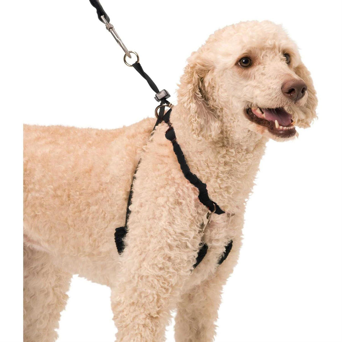 Halter M19156