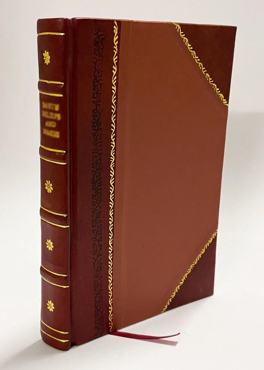 Some Account of the Deans of Canterbury Leather Bound P596