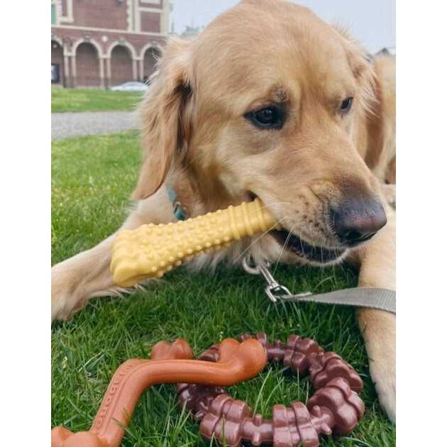 Dog Chew Toy Bundle O69187