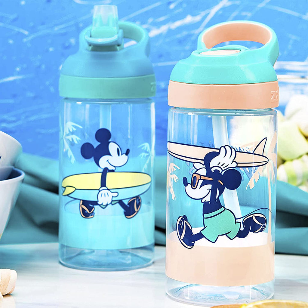 16oz 2 Pieces BPA-Free Plastic Kids Water Bottle with Straw E77850