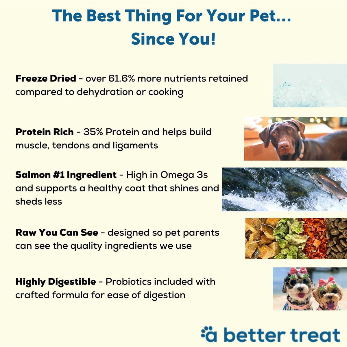 Salmon Raw Dog Food W3478