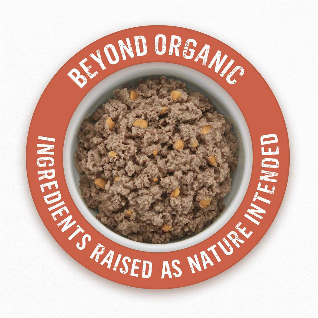 Organic Chicken Recipe Wet Dog Food E805