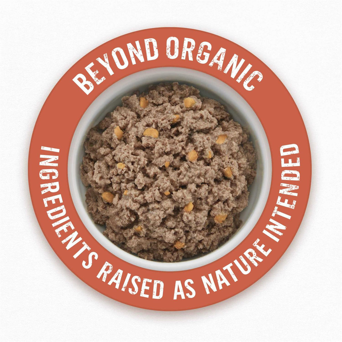 Organic Chicken Recipe Wet Dog Food E805