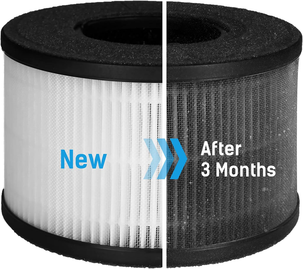 HEPA Replacement Filters Pack of 2 T237460