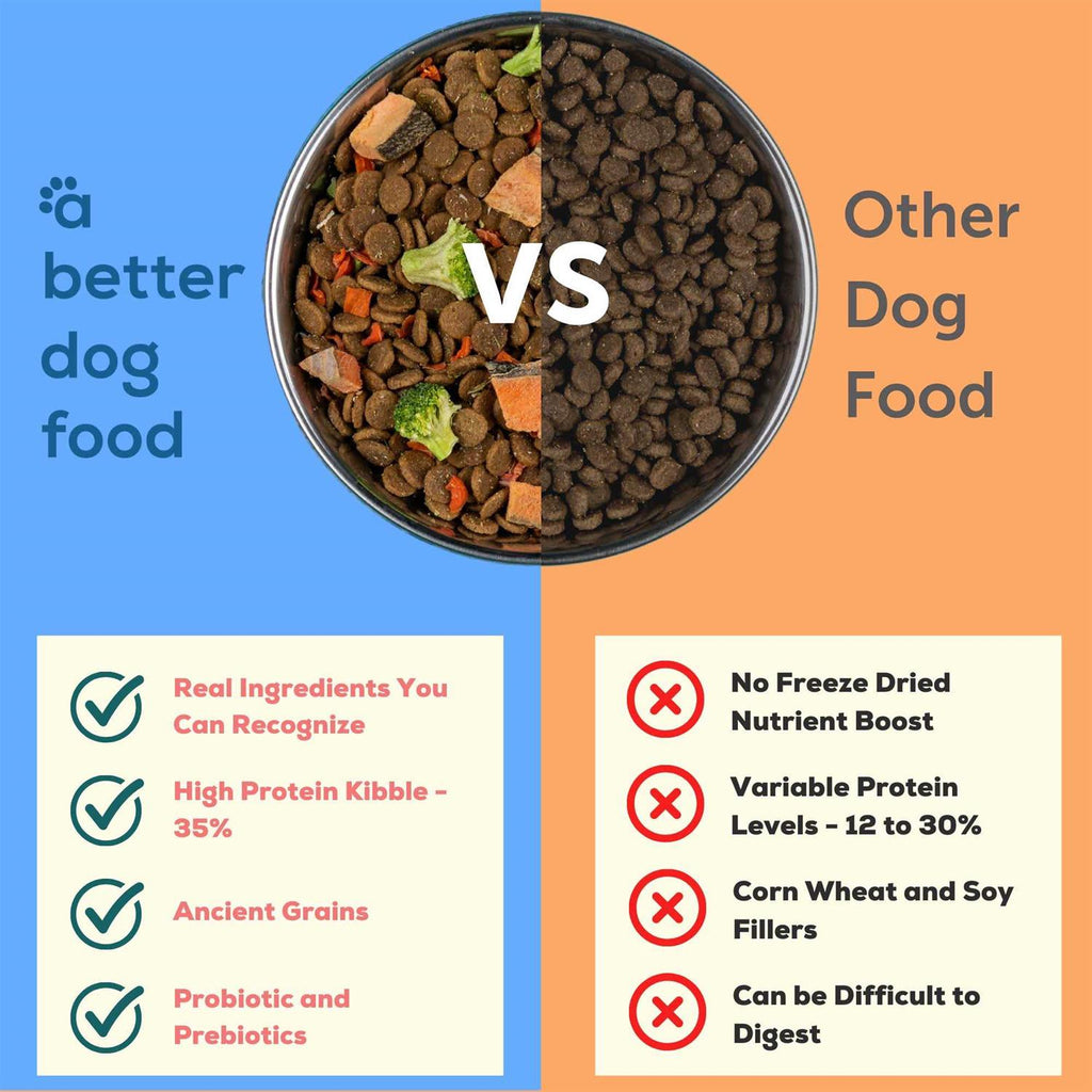 Salmon Raw Dog Food W3478