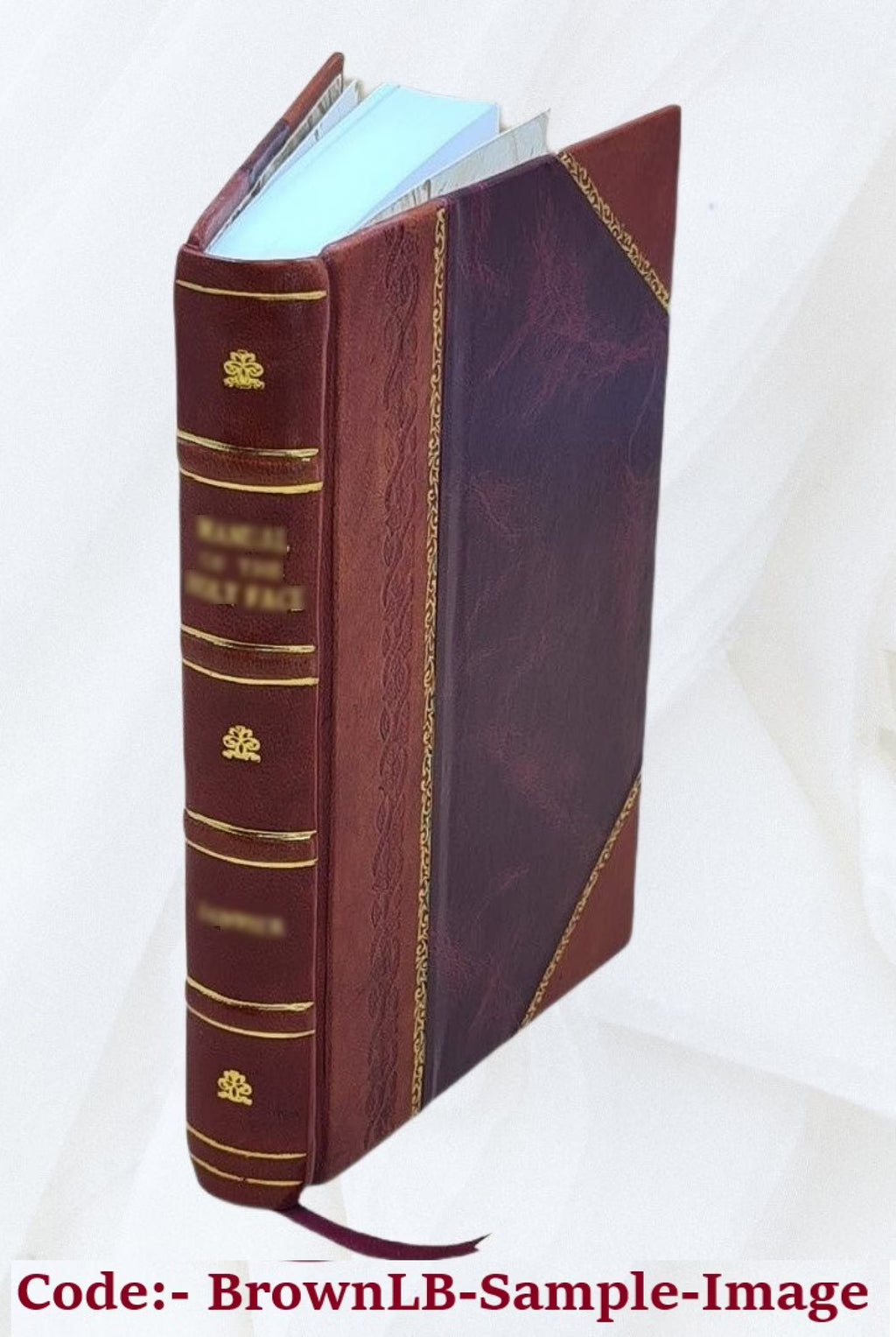 Leather Bound Book B985393