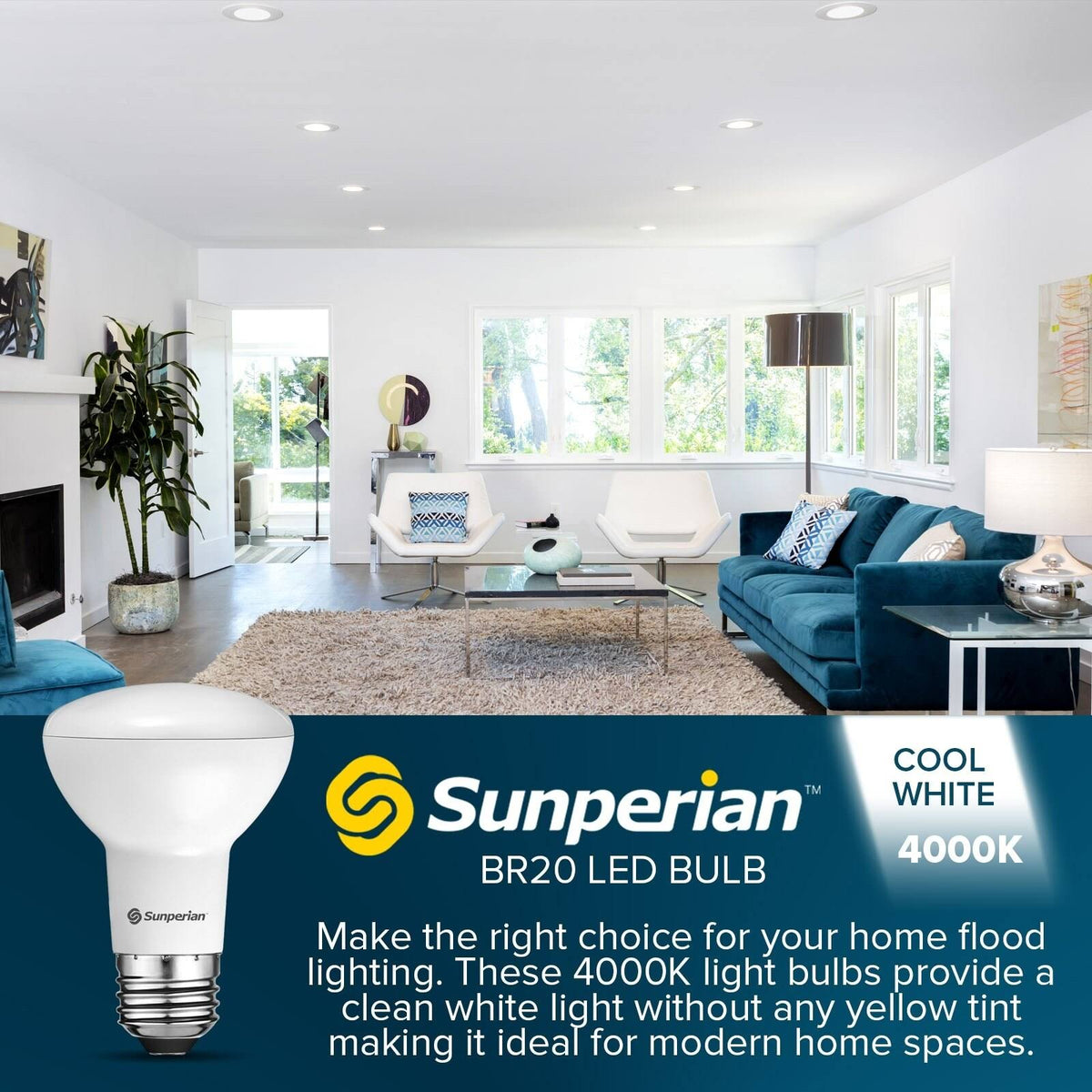 12 Pack 6W 550lm Dimmable LED Flood Light Bulbs E26 Base 5000K Y65940