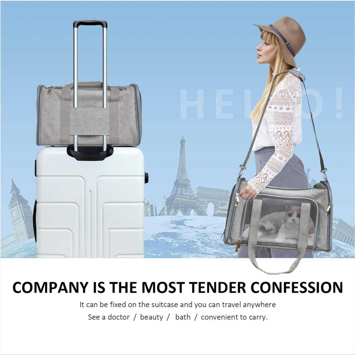 Pet Carrier E1202