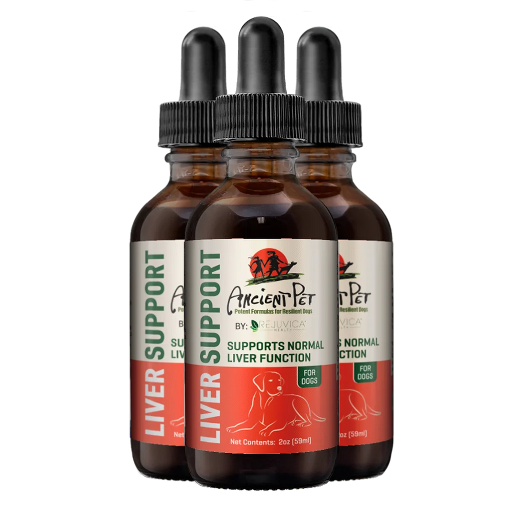 Liquid Liver Support Supplement for Dogs 3 Pack P422