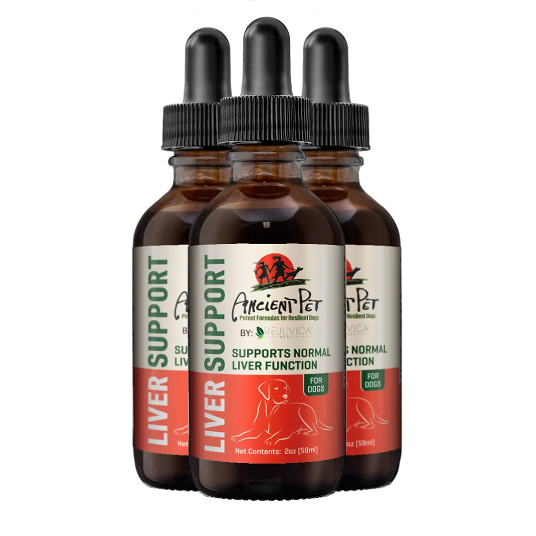 Liquid Liver Support Supplement for Dogs 3 Pack P422