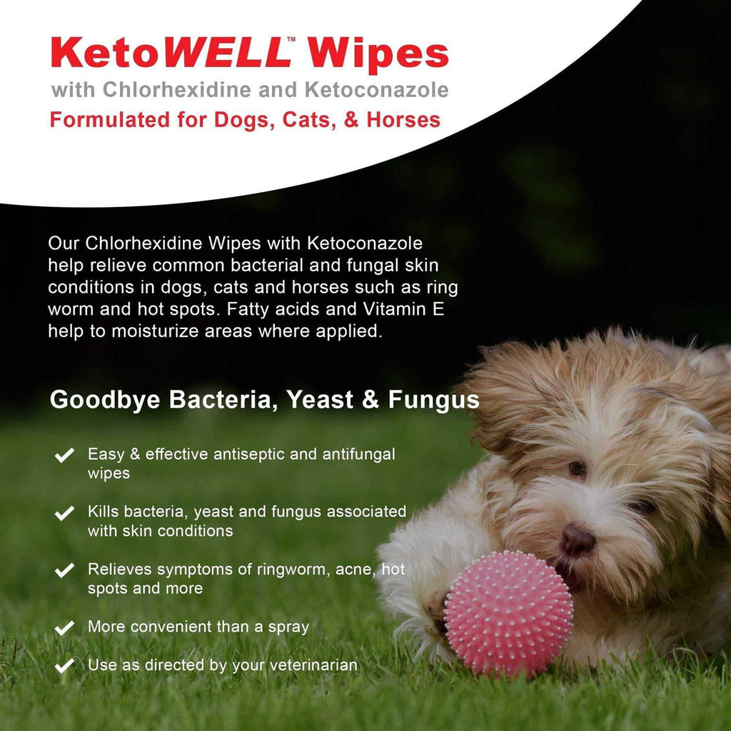 Medicated Pet Wipes with Ketoconazole G411049