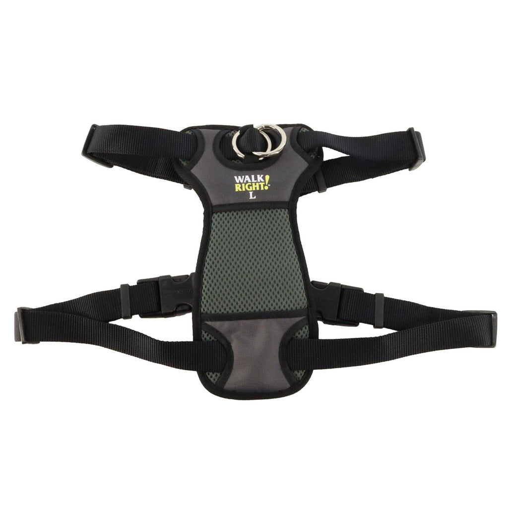 Padded Harness J224