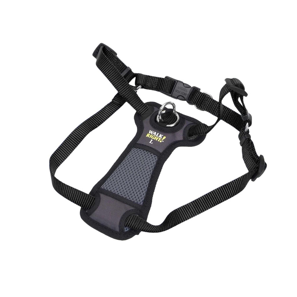 Padded Harness J224